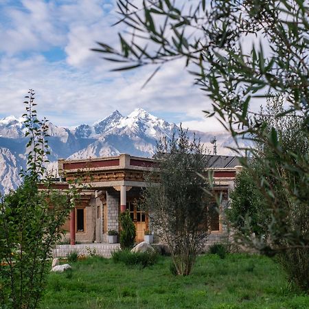 Lchang Nang Retreat-The House Of Trees-Nubra Valley Hotel Sumur Екстериор снимка