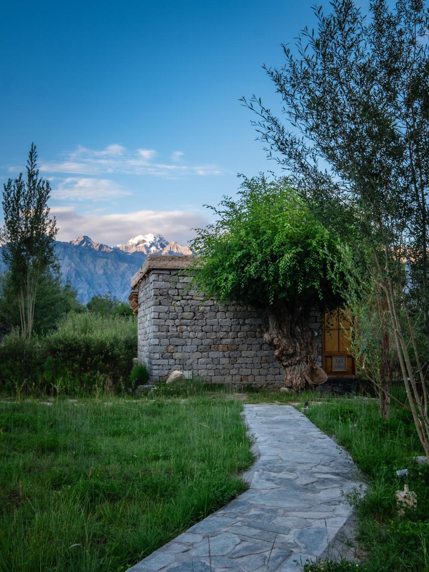 Lchang Nang Retreat-The House Of Trees-Nubra Valley Hotel Sumur Екстериор снимка